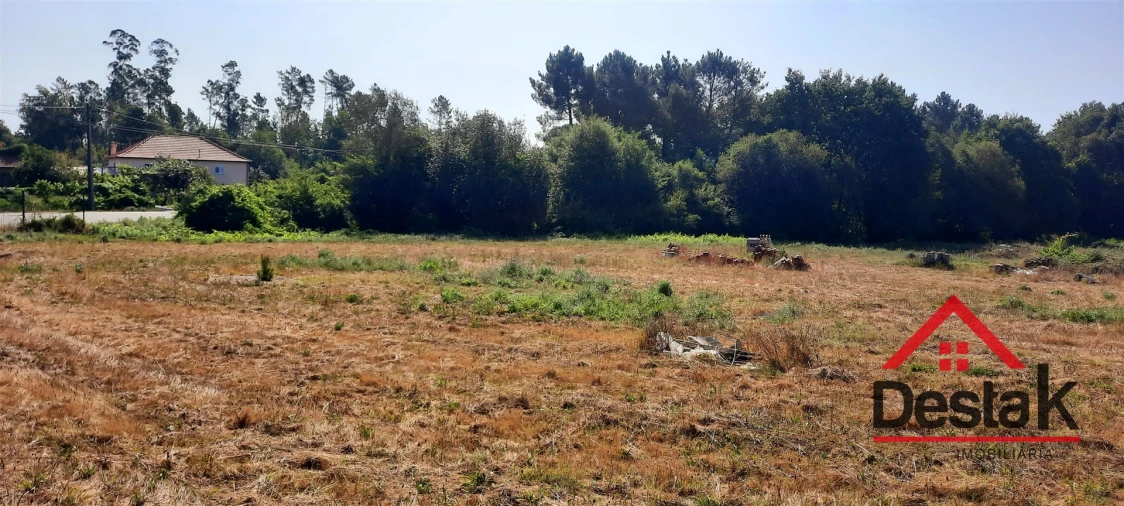 Terreno Agricola ou Rústico para Venda em Santa Cruz da Trapa e São Cristóvão de Lafões Foto 12