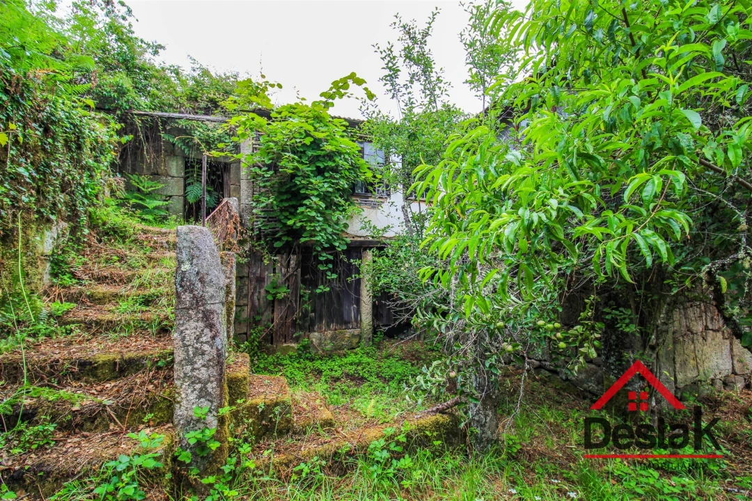 Quinta T3 para Venda em Carvalhais e Candal Foto 4