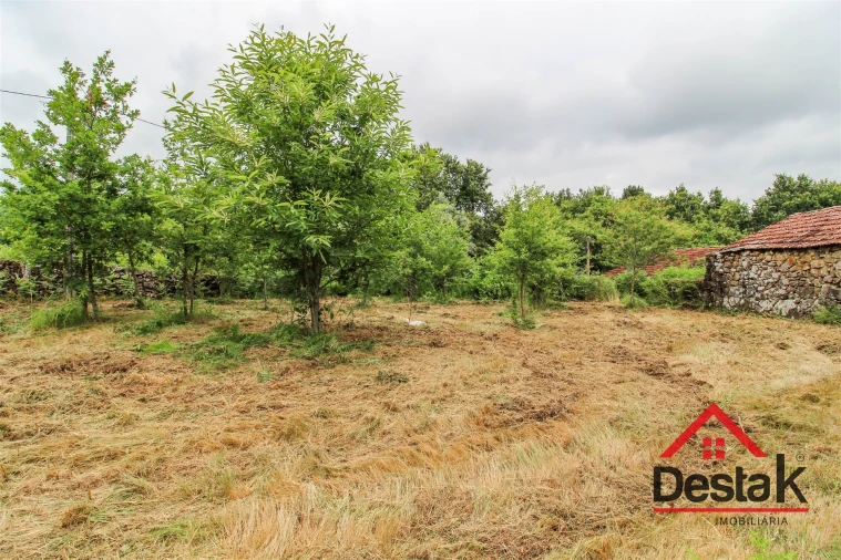 Quinta T3 para Venda em Carvalhais e Candal Foto 9