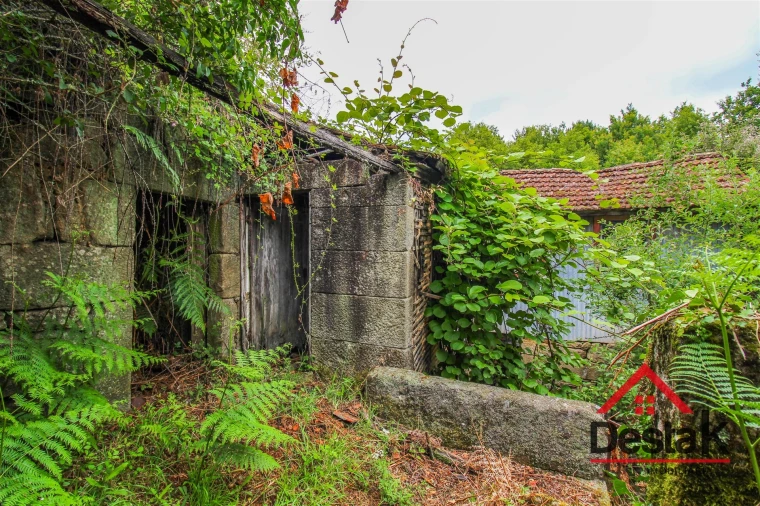 Quinta T3 para Venda em Carvalhais e Candal Foto 3