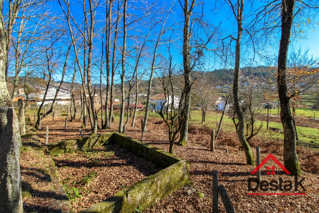 Quinta T0 para Venda em São Pedro do Sul, Várzea e Baiões Foto 25