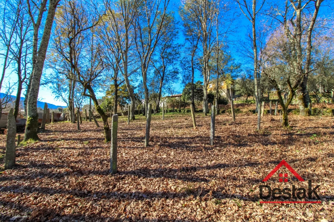 Quinta T0 para Venda em São Pedro do Sul, Várzea e Baiões Foto 24