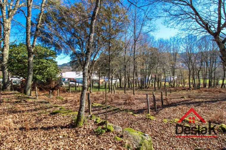 Quinta T0 para Venda em São Pedro do Sul, Várzea e Baiões Foto 27