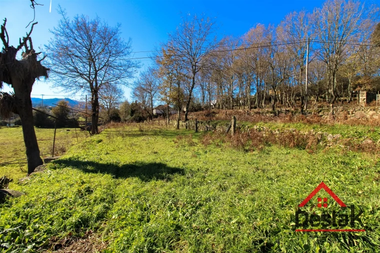 Quinta T0 para Venda em São Pedro do Sul, Várzea e Baiões Foto 18