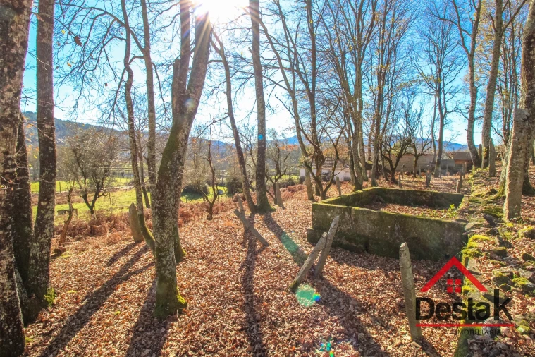 Quinta T0 para Venda em São Pedro do Sul, Várzea e Baiões Foto 23