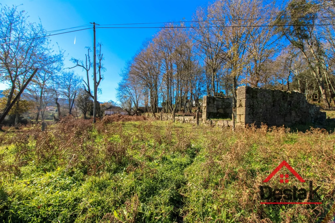 Quinta T0 para Venda em São Pedro do Sul, Várzea e Baiões Foto 19