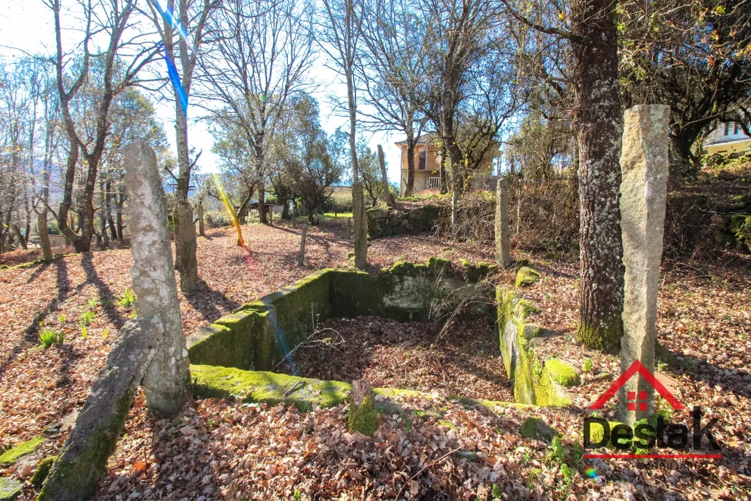 Quinta T0 para Venda em São Pedro do Sul, Várzea e Baiões Foto 26