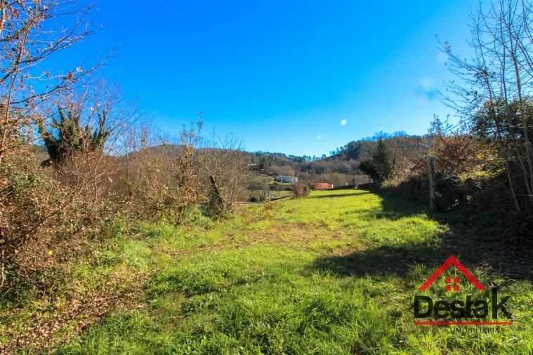 Terreno para Venda em São Pedro do Sul, Várzea e Baiões Foto 11