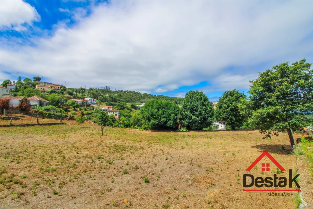Terreno para Venda em Oliveira de Frades, Souto de Lafões e Sejães Foto 13