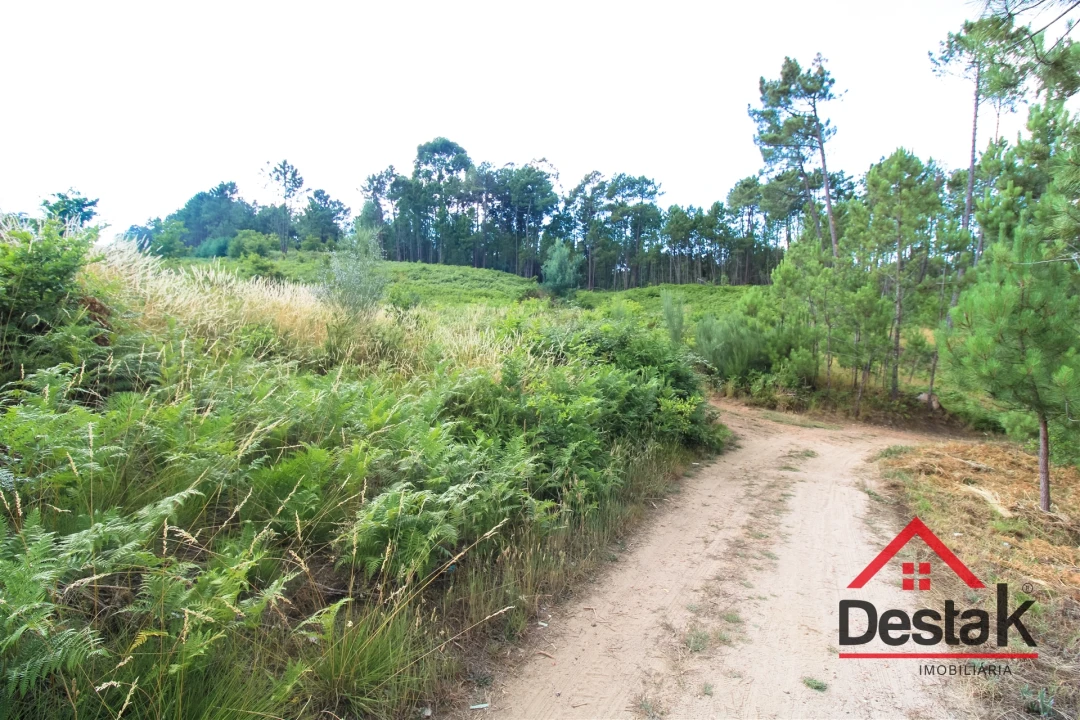Terreno para Venda em Santos Evos Foto 9