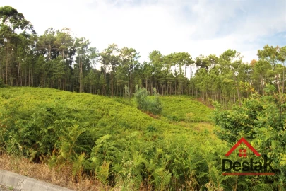 Terreno para Venda em Santos Evos