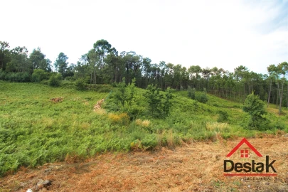 Terreno para Venda em Santos Evos