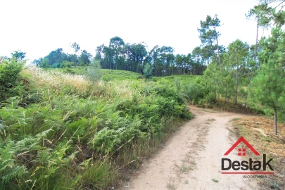 Terreno para Venda em Santos Evos