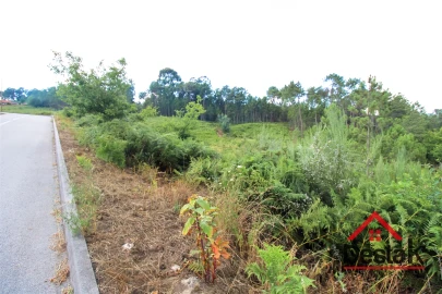 Terreno para Venda em Santos Evos