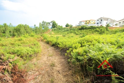 Terreno para Venda em Santos Evos
