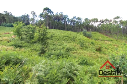 Terreno para Venda em Santos Evos