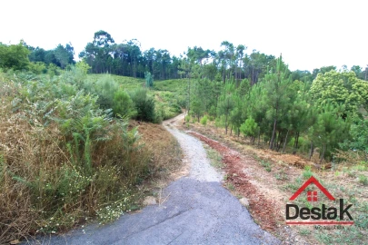 Terreno para Venda em Santos Evos