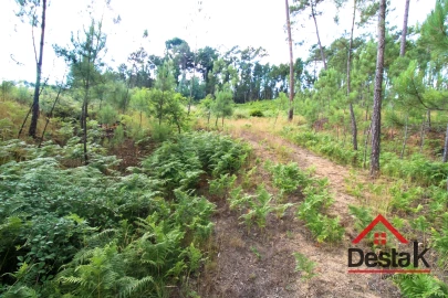 Terreno para Venda em Santos Evos
