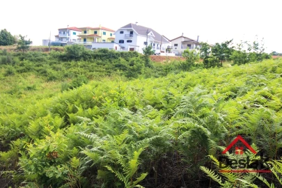 Terreno para Venda em Santos Evos