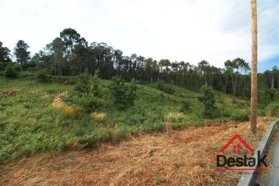 Terreno para Venda em Santos Evos