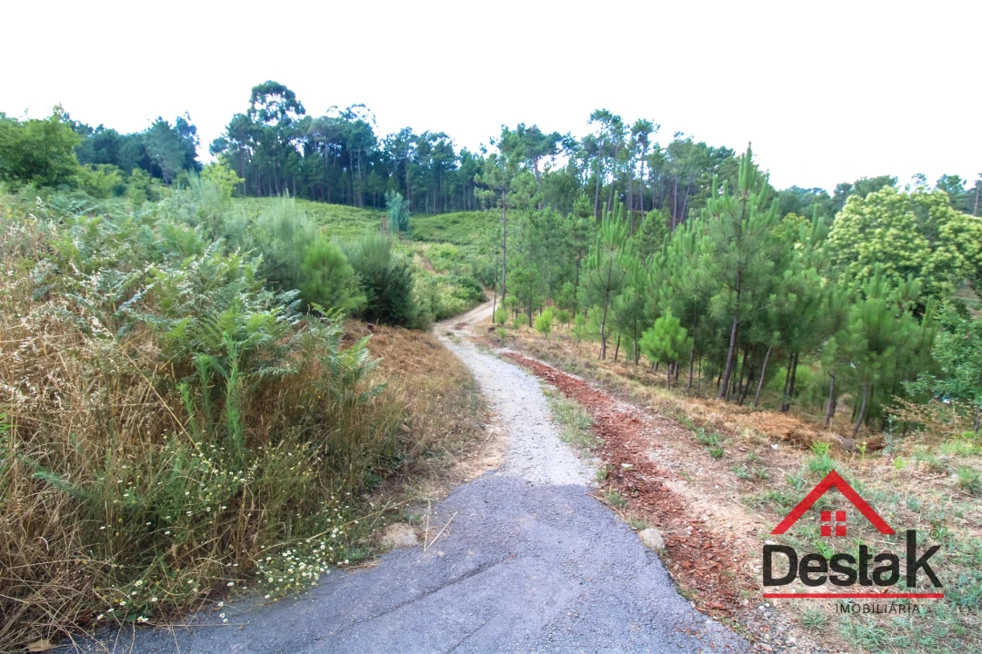Terreno para Venda em Santos Evos Foto 8