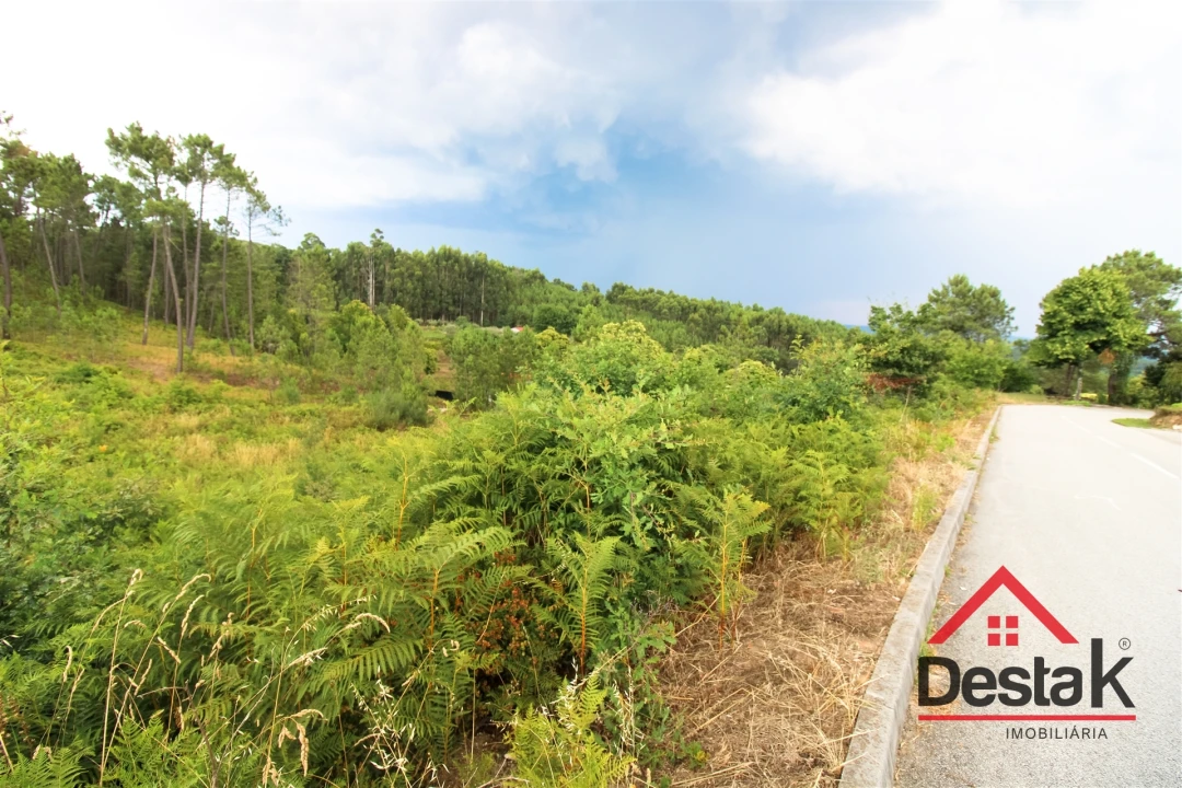 Terreno para Venda em Santos Evos Foto 3
