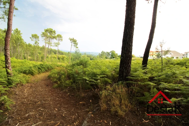 Terreno para Venda em Santos Evos Foto 11