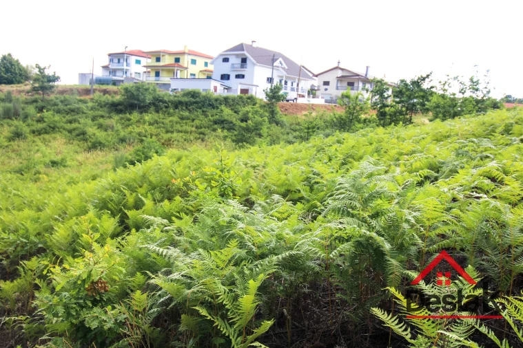 Terreno para Venda em Santos Evos Foto 14