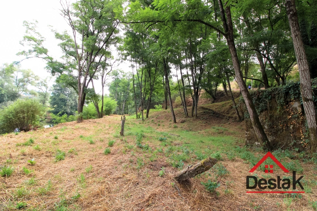 Terreno para Venda em São Pedro do Sul, Várzea e Baiões Foto 14
