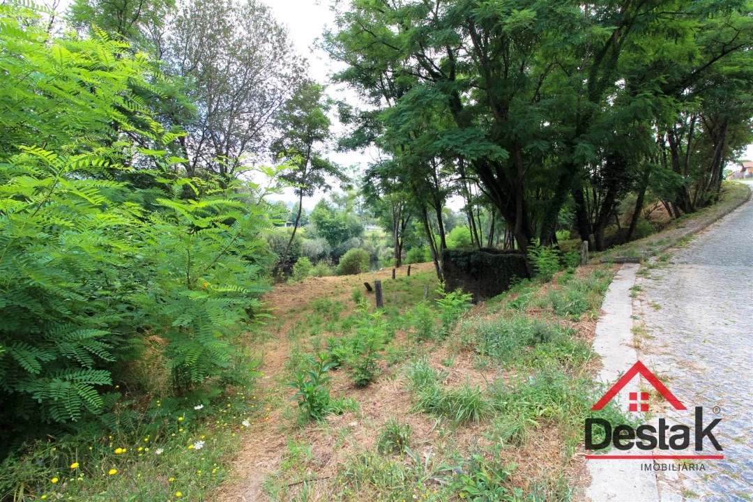 Terreno para Venda em São Pedro do Sul, Várzea e Baiões Foto 15