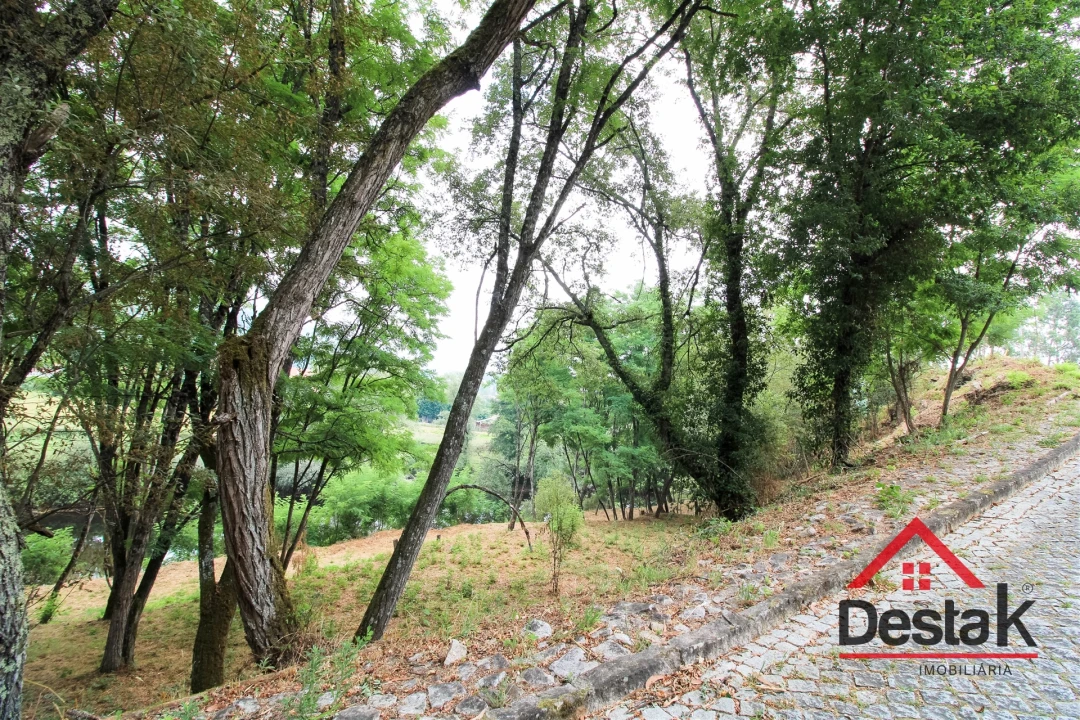 Terreno para Venda em São Pedro do Sul, Várzea e Baiões Foto 2