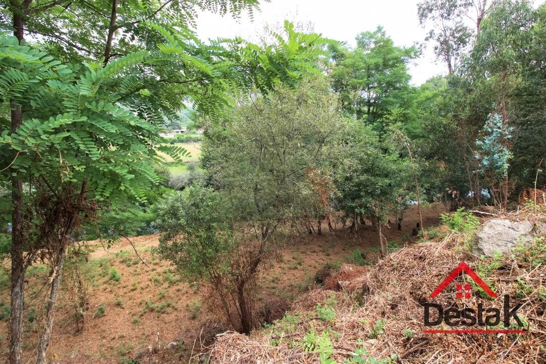 Terreno para Venda em São Pedro do Sul, Várzea e Baiões Foto 17
