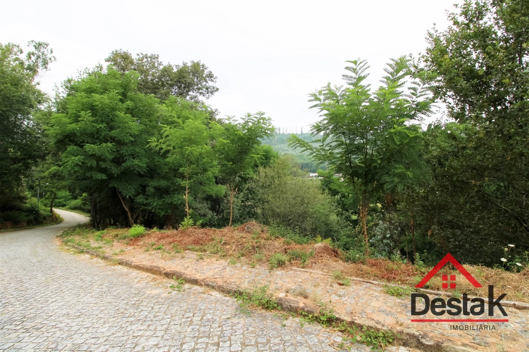 Terreno para Venda em São Pedro do Sul, Várzea e Baiões Foto 1