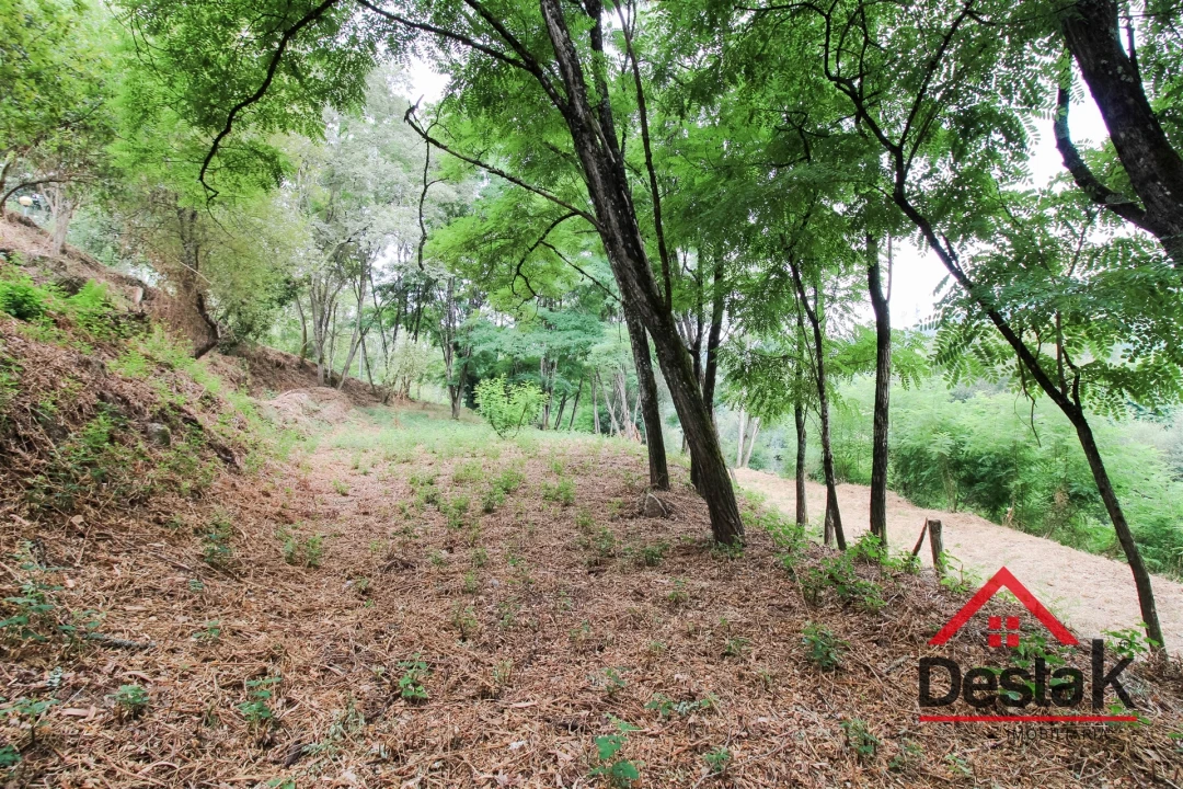 Terreno para Venda em São Pedro do Sul, Várzea e Baiões Foto 9
