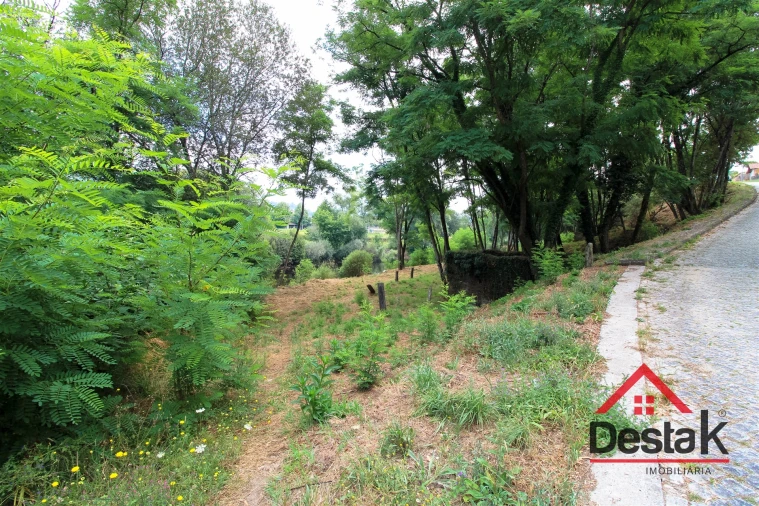 Terreno para Venda em São Pedro do Sul, Várzea e Baiões Foto 15