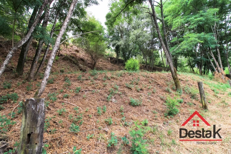 Terreno para Venda em São Pedro do Sul, Várzea e Baiões Foto 11