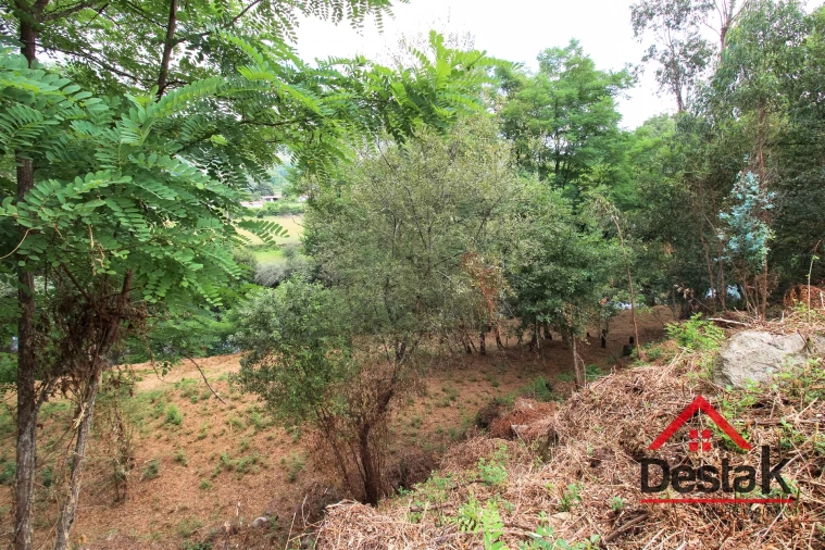 Terreno para Venda em São Pedro do Sul, Várzea e Baiões Foto 17