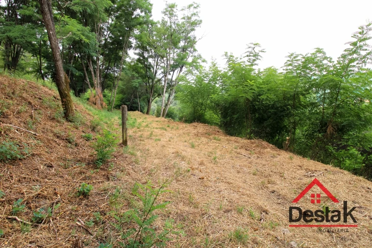Terreno para Venda em São Pedro do Sul, Várzea e Baiões Foto 6
