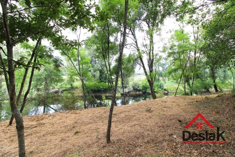 Terreno para Venda em São Pedro do Sul, Várzea e Baiões Foto 10