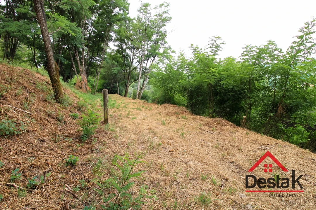 Terreno para Venda em São Pedro do Sul, Várzea e Baiões Foto 6