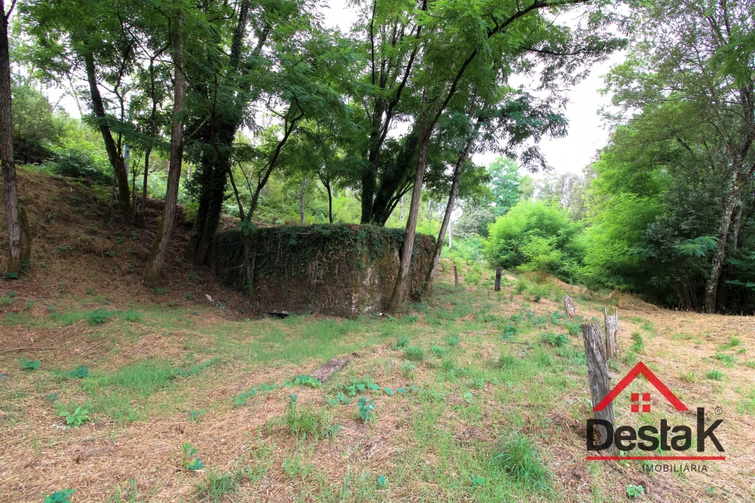 Terreno para Venda em São Pedro do Sul, Várzea e Baiões Foto 13