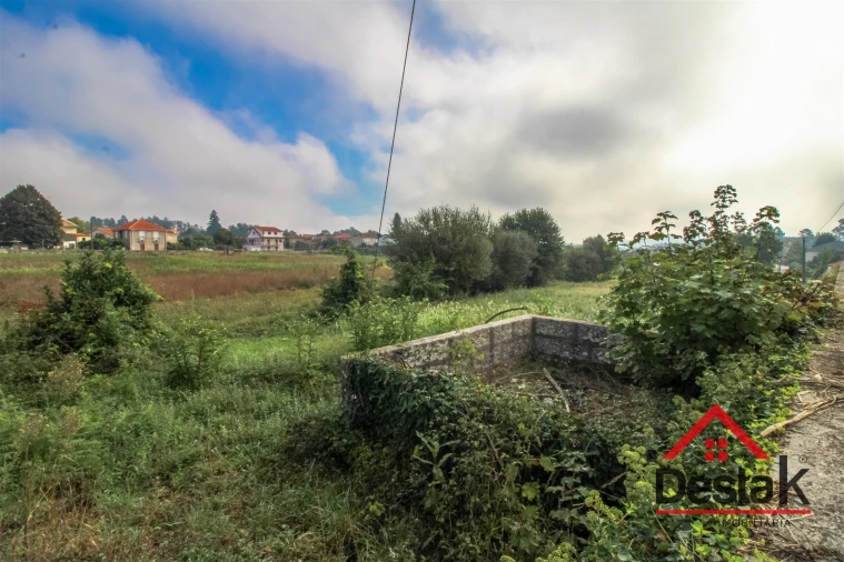 Terreno para Venda em Santa Cruz da Trapa e São Cristóvão de Lafões Foto 9