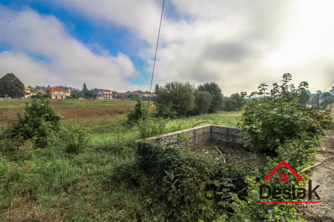 Terreno para Venda em Santa Cruz da Trapa e São Cristóvão de Lafões Foto 9