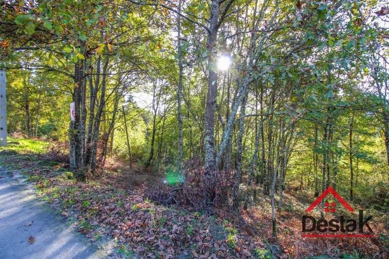 Terreno para Venda em São Pedro do Sul, Várzea e Baiões Foto 5