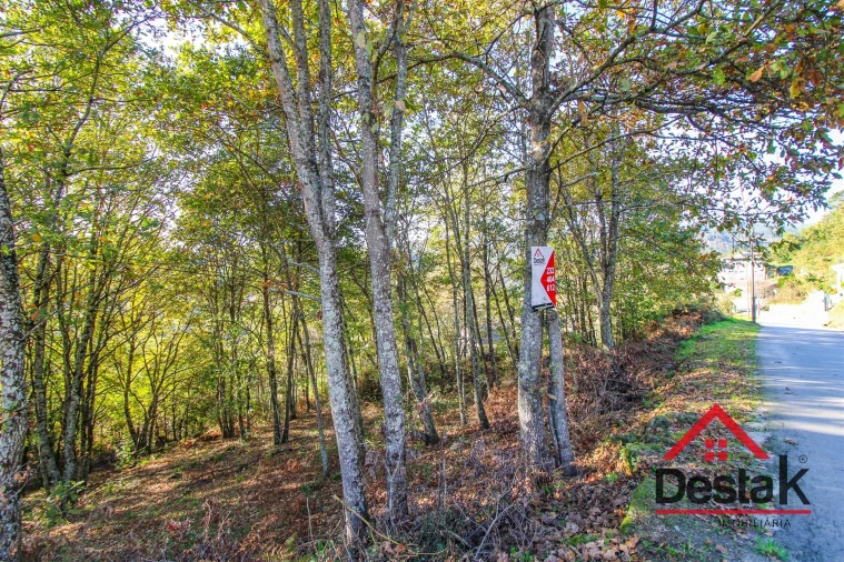 Terreno para Venda em São Pedro do Sul, Várzea e Baiões Foto 3
