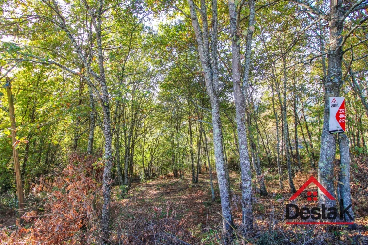 Terreno para Venda em São Pedro do Sul, Várzea e Baiões Foto 4