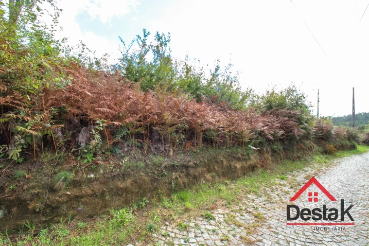 Terreno para Venda em Vila Maior Foto 9