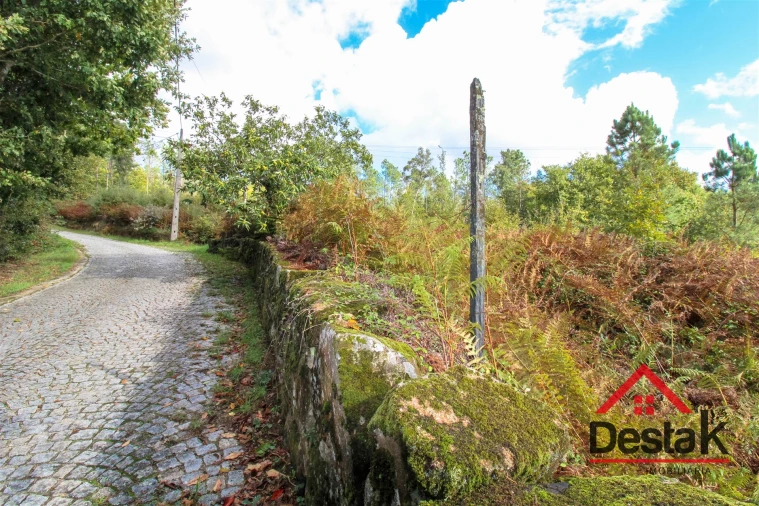 Terreno para Venda em Vila Maior Foto 11