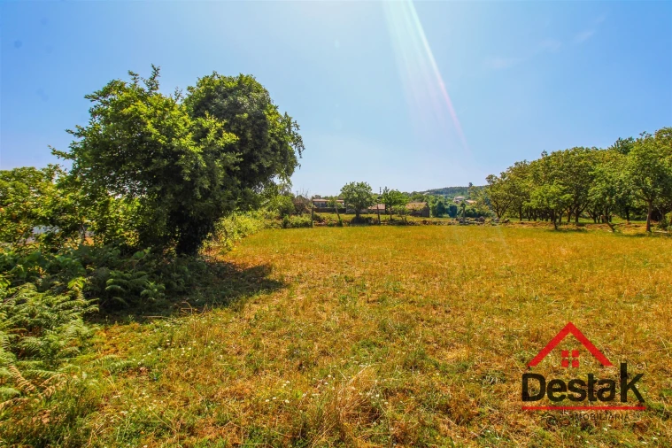 Terreno para Venda em Pinheiro Foto 5