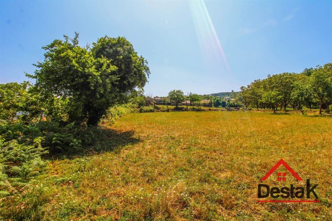 Terreno para Venda em Pinheiro Foto 5